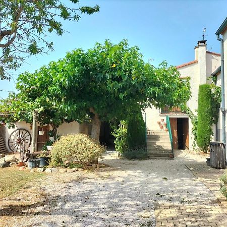 L'Habitacio De Can Rufa Maureillas ภายนอก รูปภาพ